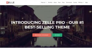 Zelle Pro WordPress Theme