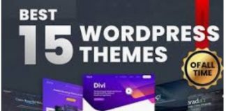 Wordpress themes for blog